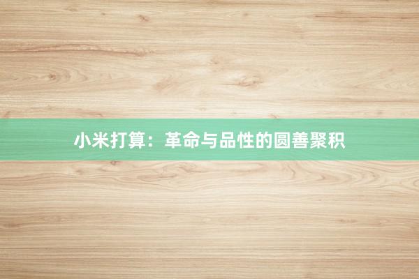 小米打算：革命与品性的圆善聚积