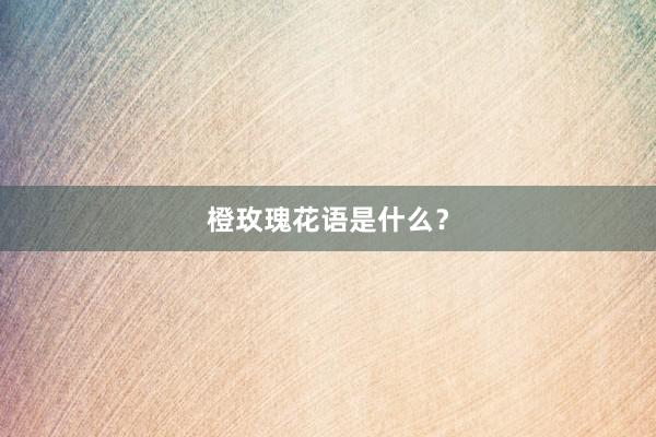 橙玫瑰花语是什么？