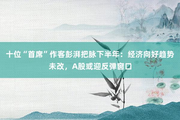 十位“首席”作客彭湃把脉下半年：经济向好趋势未改，A股或迎反弹窗口